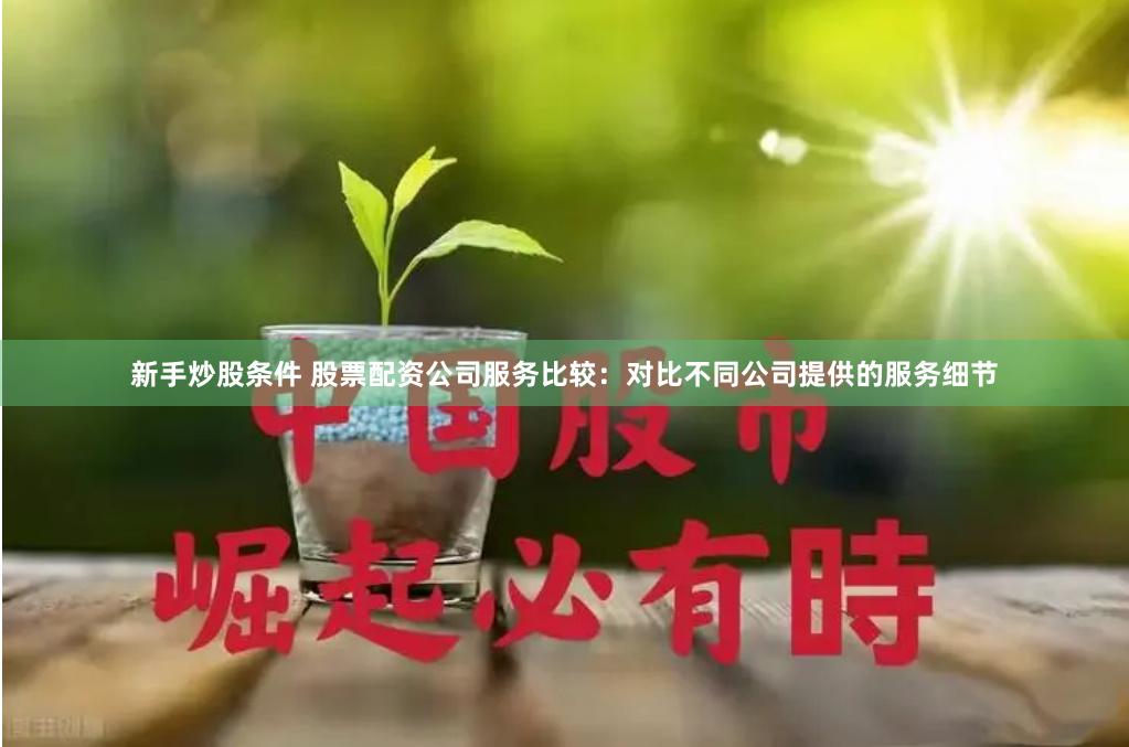 新手炒股条件 股票配资公司服务比较：对比不同公司提供的服务细节