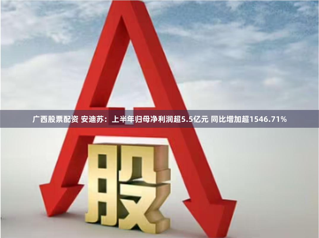 广西股票配资 安迪苏：上半年归母净利润超5.5亿元 同比增加超1546.71%