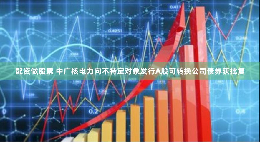 配资做股票 中广核电力向不特定对象发行A股可转换公司债券获批复