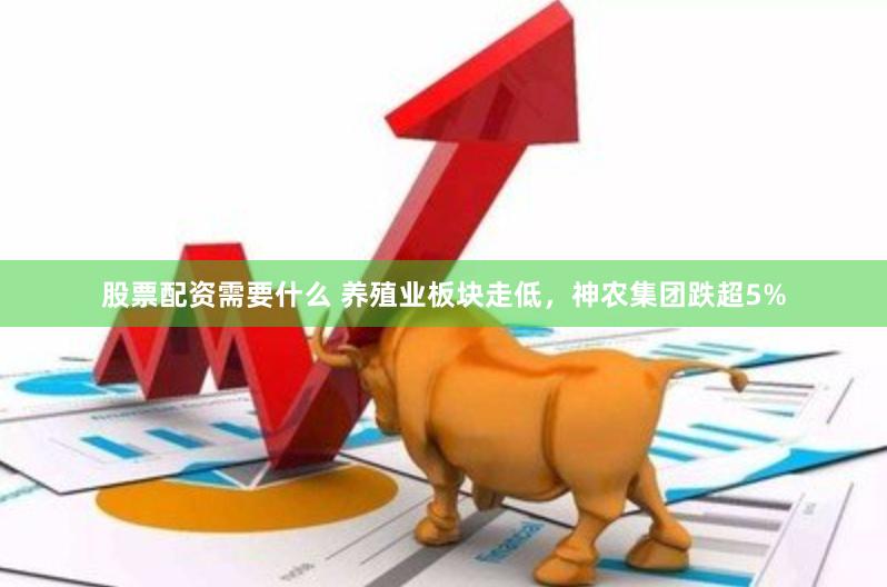 股票配资需要什么 养殖业板块走低，神农集团跌超5%