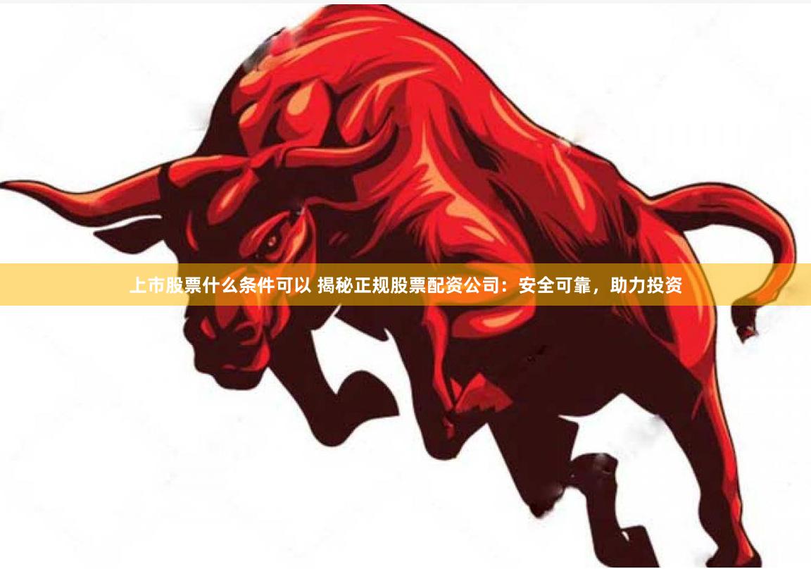 上市股票什么条件可以 揭秘正规股票配资公司：安全可靠，助力投资